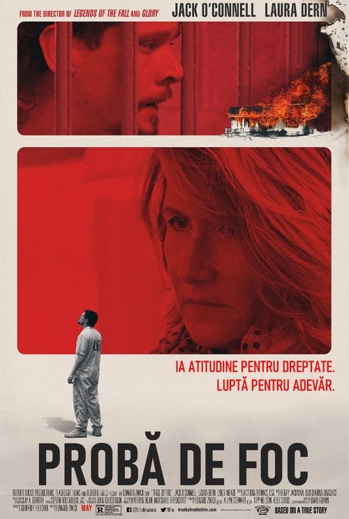 Poster pentru Procesul infernal