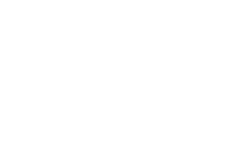 Super Papa