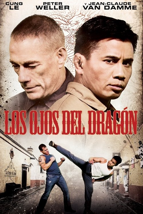 Dragon Eyes poster