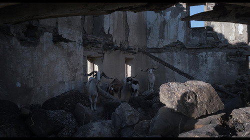 When the Mountain Rumbles