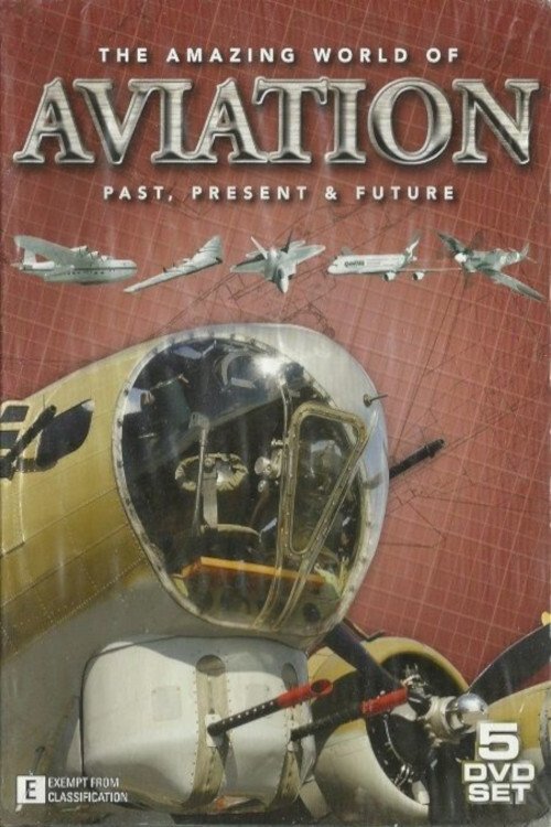 The Amazing World of Aviation (2013)