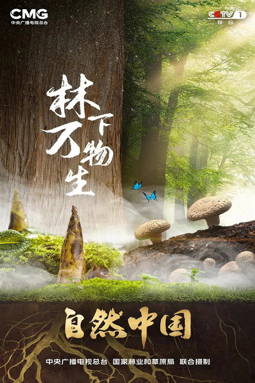 林下万物生