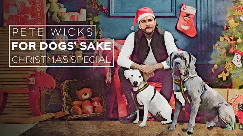 Pete Wicks: For Dogs' Sake Christmas Special 2025