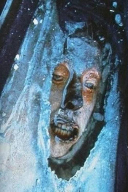 The Franklin Expedition - Buried in Ice