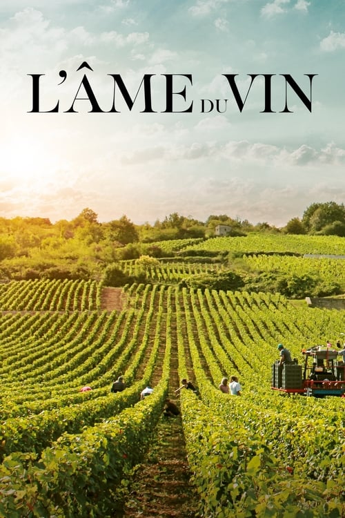 L'âme du vin 2019