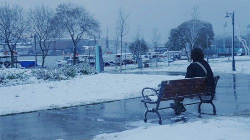 The Leaf Covered in Hoarfrost