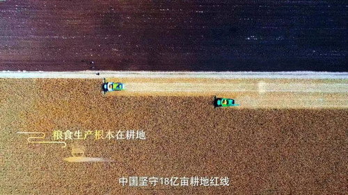 端牢中国饭碗 - Season 1 Backdrop Blur