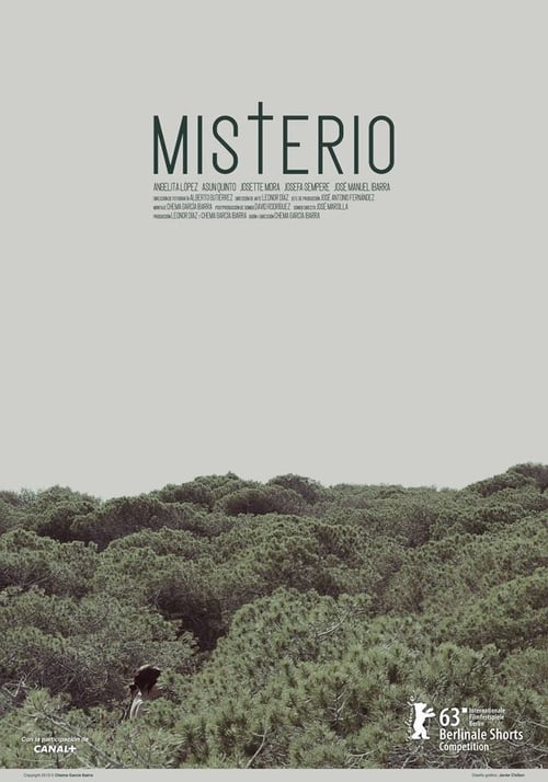 Misterio 2013