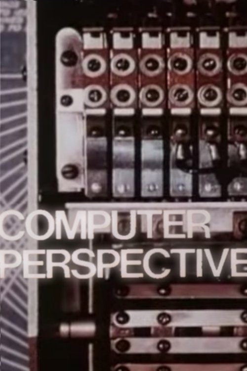 Computer Perspective