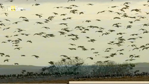 Poster della serie Wild Scotland: The Western Isles