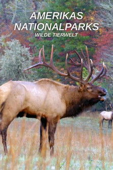 Amerikas Nationalparks: Wilde Tierwelt