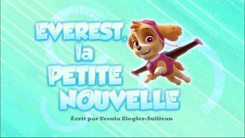 Image Everest, la petite nouvelle