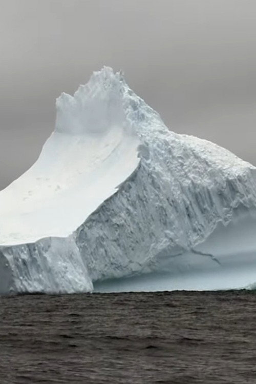Geants de glace...à la dérive