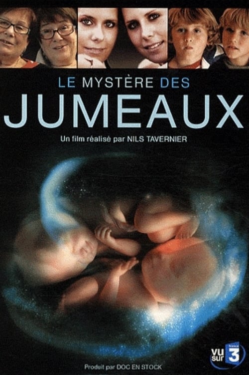 Le mystère des jumeaux (2009) poster