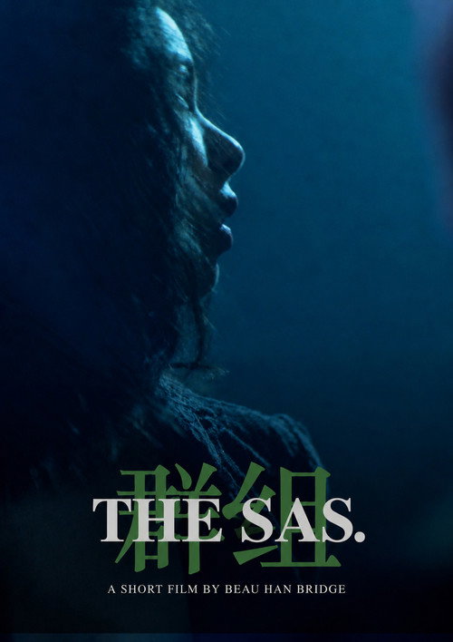 The SAS