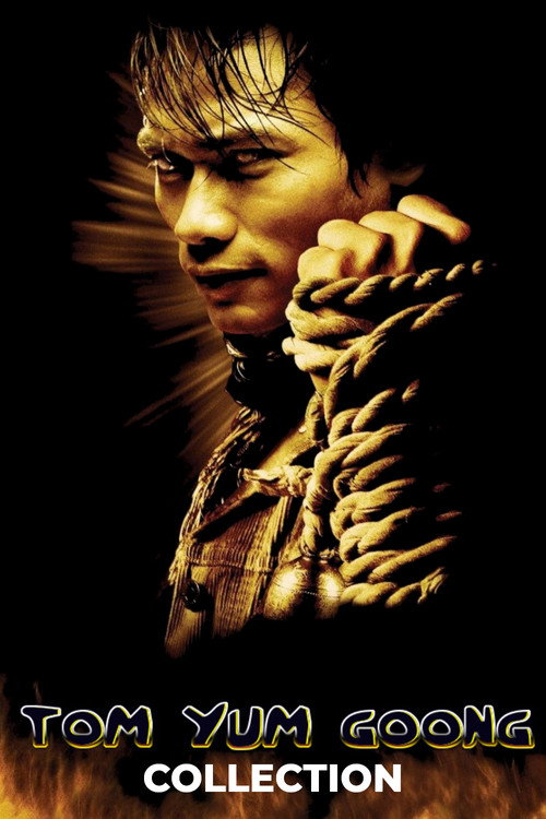 Tom Yum Goong Filmreihe