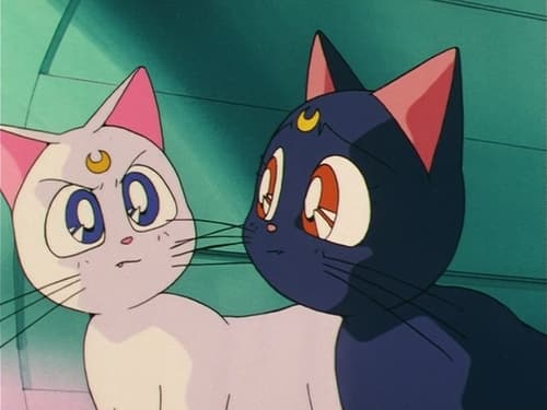 美少女戦士セーラームーン, S02E33 - (1993)