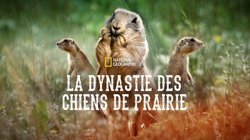 Prairie Dog Manor