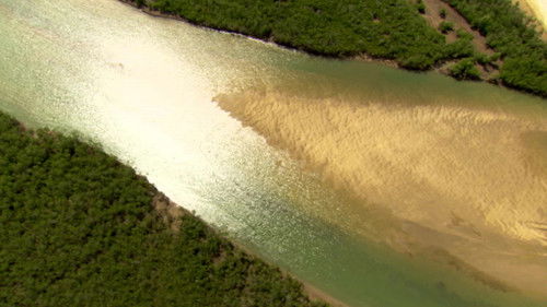 The Eighth Continent