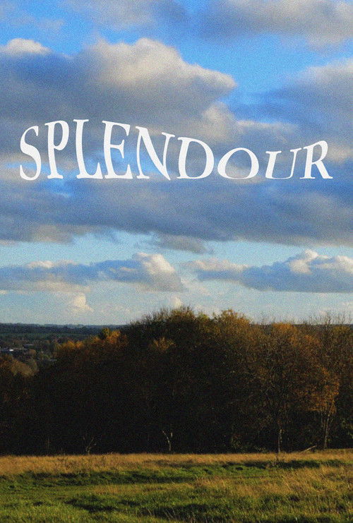 Splendour poster