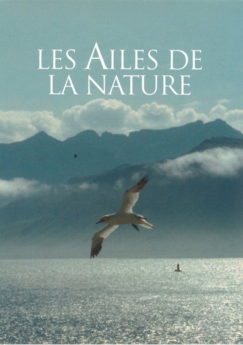 Les Ailes de la nature still 2