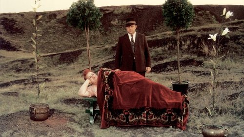 Angelus image 3