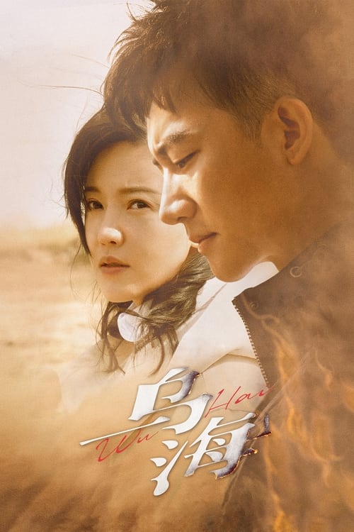 乌海 (2021) poster