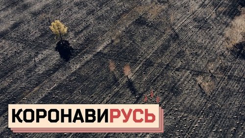 Image de l'épisode 55