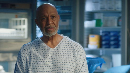 Grey’s Anatomy: 22×9