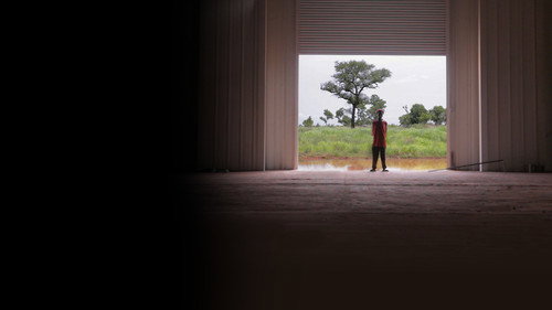 Dead Donkeys Fear No Hyenas