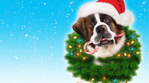 Beethoven's Christmas Adventure