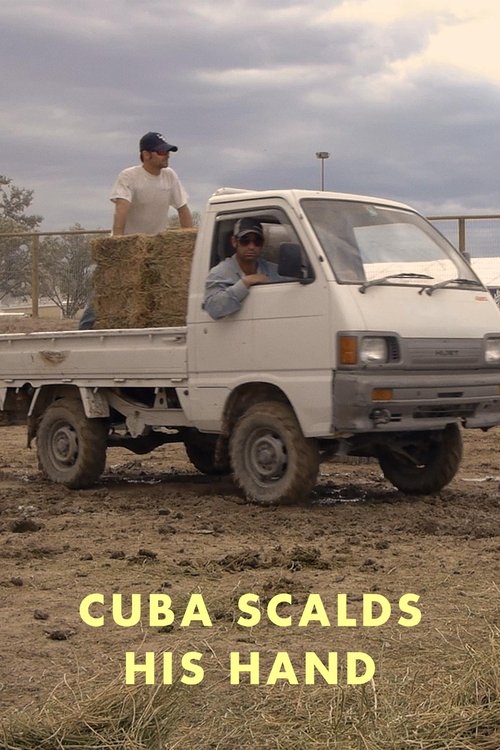 Cuba Scalds His Hand movie poster player