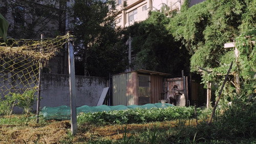 屋舍上的葉仔花 — Fondos 5
