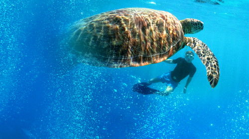 Escena 4 de Fearless Adventures with Jack Randall