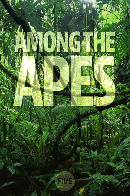 Poster Among the Apes