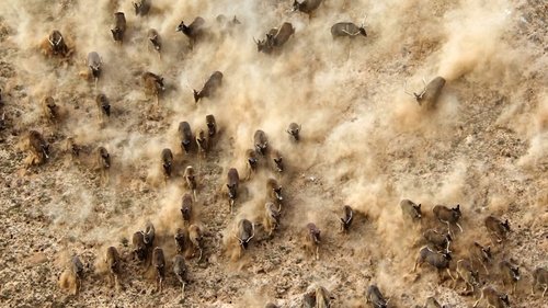 China's Wild Secrets