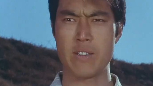 A Sad Spring Journey — What Is a Man's Tears?