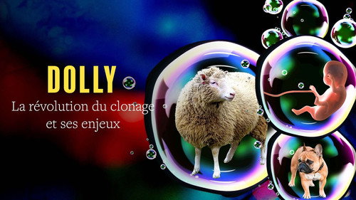 Image du film