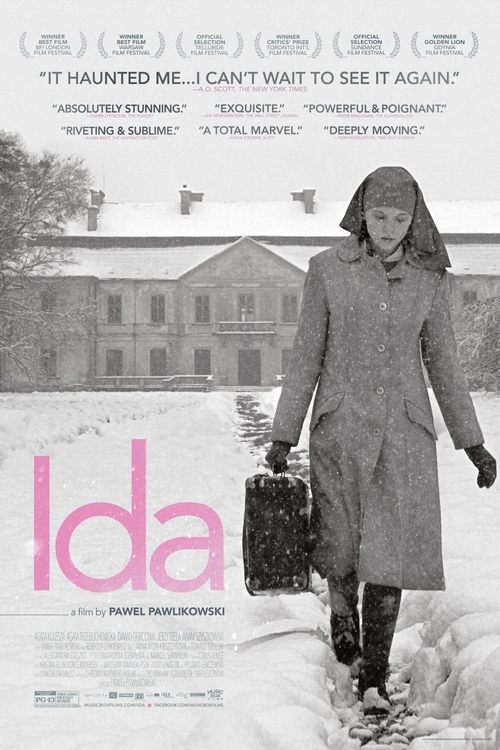 Poster Ida 2013