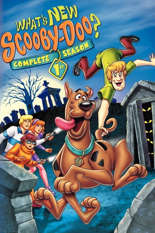 Quoi d'neuf Scooby-Doo ? saison 1 - 2002