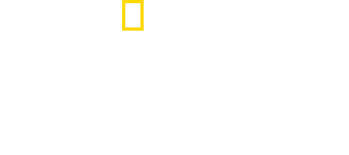 Shark Beach with Anthony Mackie