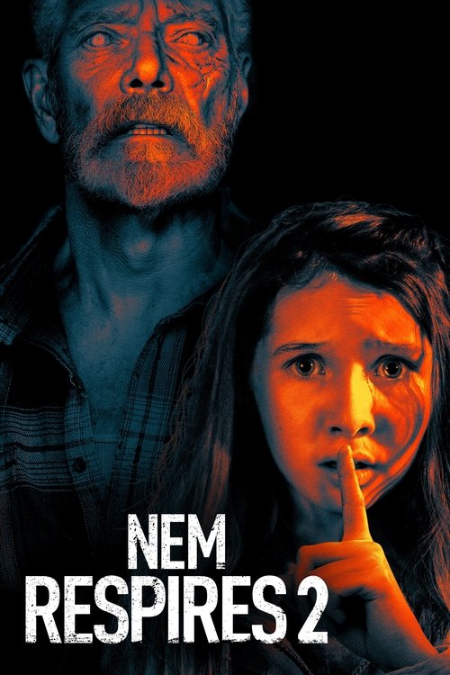 Pôster de O Homem nas Trevas 2
