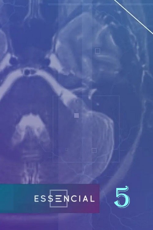 Season 5 (2024) - Season 5 poster and promotional image