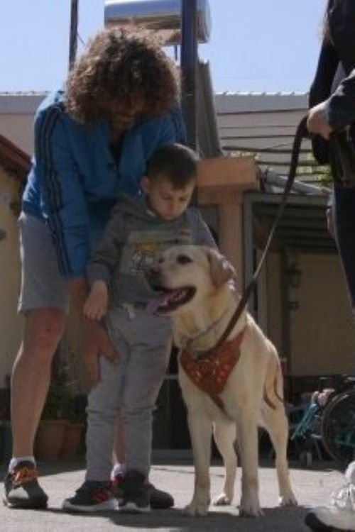 Dogs That Change Lives