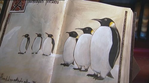 Image de l'épisode 7