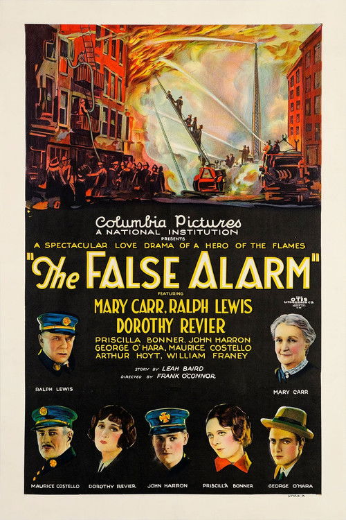 The False Alarm film afişi