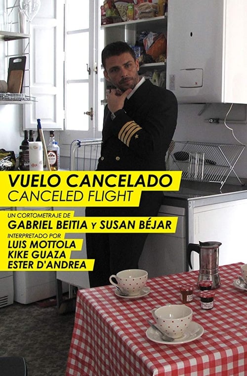 Vuelo cancelado (2011)