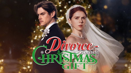 Divorce Is My Best Christmas Gift still