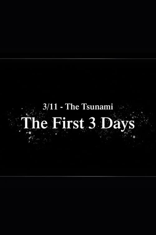 3/11 - The Tsunami: The First 3 Days (2021)