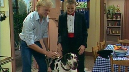 Épisode 99